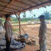 Dukung Asta Cita Presiden, Bhabinkamtibmas Polsek Tambakboyo Dampingi Petani Jagung Saat Panen dan Jemur Hasil Panen