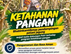 Mendukung Program Ketahanan Pangan, Bhabinkamtibmas Monitoring Pertumbuhan Jagung