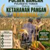 Dukung Ketahanan Pangan Nasional, Polsek Bancar Turun Ke Lahan Jagung Warga Desa Ngujuran