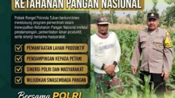 Polri Dukung Astacita, Polsek Rengel Polresta Tuban Turun Cek Tanaman Jagung Warga di Desa Sawahan