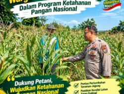 Polsek Bancar Monitoring Lahan Jagung Warga Desa Tenggerkulon, Dukung Program Ketahanan Pangan Nasional