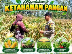 Mendukung Asta Cita Presiden Polisi RW Polsek Senori Polresta Tuban Pantau Kodisi Tanaman Jagung Milik Warga Desa Kaligede