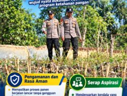 Mendukung Program Ketahanan Pangan, Bhabinkamtibmas Monitoring Pertumbuhan Jagung
