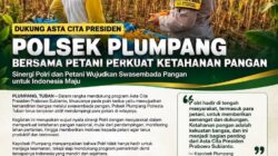 Polsek Plumpang Polresta Tuban Turun Langsung Cek Tanaman Jagung Warga