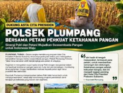 Polsek Plumpang Polresta Tuban Turun Langsung Cek Tanaman Jagung Warga