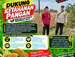Dukung Astacita, Polsek Palang Polresta Tuban Pantau Langsung Lahan Jagung milik warga Desa Ngimbang