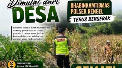 Polri Dukung Astacita, Polsek Rengel Polresta Tuban Turun Cek Tanaman Jagung Warga di Desa Pekuwon