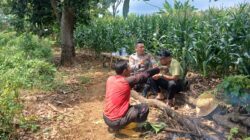 Dukung Asta Cita Presiden, Bhabinkamtibmas Polsek Tambakboyo Dampingi Petani Jagung di Lahan