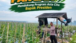 Polri Dukung Astacita, Polsek Merakurak Polres Tuban Turun Cek Tanaman Jagung Warga di Desa Tuwiri Wetan