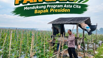 Polri Dukung Astacita, Polsek Merakurak Polres Tuban Turun Cek Tanaman Jagung Warga di Desa Tuwiri Wetan