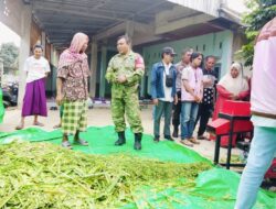 Teknologi Silase Buka Peluang Baru bagi Peternak Eyat Mayang