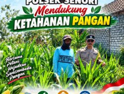Mendukung Asta Cita Presiden Dibidang Ketahanan Pangan Polisi RW Polsek Senori Polresta Tuban Pantau Kodisi Tanaman Jagung Milik Warga Desa Medalem