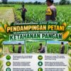 Polsek Parengan Polresta Tuban Turun Langsung Cek Tanaman Jagung Warga