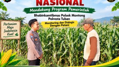 Mendukung Asta Cita Presiden bhabinkamtibmas Polsek Montong Polresta Tuban Pantau Kodisi Tanaman Jagung Milik Warga Desa pakel
