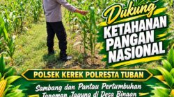 SAMBANG LAHAN JAGUNG DI DESA BINAAN DEMI MENDUKUNG KETAHANAN PANGAN