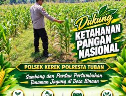 SAMBANG LAHAN JAGUNG DI DESA BINAAN DEMI MENDUKUNG KETAHANAN PANGAN