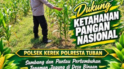 SAMBANG LAHAN JAGUNG DI DESA BINAAN DEMI MENDUKUNG KETAHANAN PANGAN