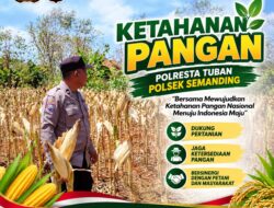 Polri Dukung Astacita, Polsek Semanding Polresta Tuban Turun Cek Tanaman jagung milik Warga di Desa Bektiharjo