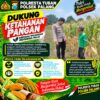 Dukung Astacita, Polsek Palang Polresta Tuban Pantau Langsung Lahan Jagung milik warga Desa Wangun