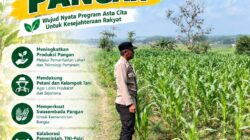 Dukung Program Ketahanan Pangan, Polsek Bangilan Monitoring Pertumbuhan Tanaman Jagung