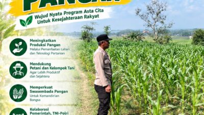 Dukung Program Ketahanan Pangan, Polsek Bangilan Monitoring Pertumbuhan Tanaman Jagung