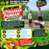 Dukung Astacita, Polsek Palang Polresta Tuban Pantau Langsung Lahan Jagung milik warga Desa Pucangan