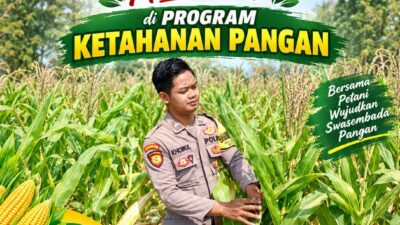 Anggota Bhabinkamtibmas Polsek Senori Polresta Tuban Lakukan Pemantauan Tanaman Jagung Warga Desa Wanglukulon Dukung Program Ketahanan Pangan