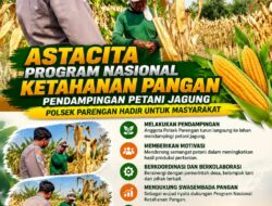 Polsek Parengan Polresta Tuban Pantau Lahan Jagung Warga Desa Ngawun Dukung Program Astacita