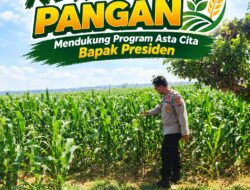 Polri Dukung Astacita, Polsek Merakurak Polresta Tuban Turun Cek Tanaman Jagung Warga di Desa Tuwiri Wetan