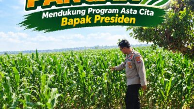 Polri Dukung Astacita, Polsek Merakurak Polresta Tuban Turun Cek Tanaman Jagung Warga di Desa Tuwiri Wetan