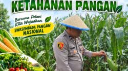 Anggota Bhabinkamtibmas Polsek Senori Polresta Tuban Lakukan Pemantauan Tanaman Jagung Warga Desa Leran Dukung Program Ketahanan Pangan