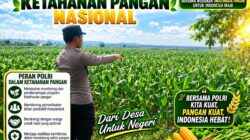 Anggota Polsek Singgahan Polresta Tuban Turun Cek Tanaman jagung Warga di Desa lajo lor