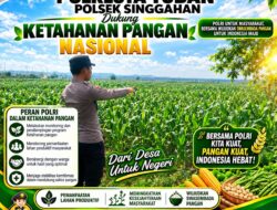 Anggota Polsek Singgahan Polresta Tuban Turun Cek Tanaman jagung Warga di Desa lajo lor