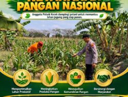 POLSEK KEREK DAMPINGI PETANI, WUJUDKAN KETAHANAN PANGAN NASIONAL