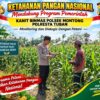 Mendukung Asta Cita Presiden Polmas Polsek Montong Polresta Tuban Pantau Kodisi Tanaman Jagung Milik Warga Desa Jetak