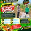 Dukung Astacita, Polsek Palang Polresta Tuban Pantau Langsung Lahan Jagung milik warga Desa Dawung