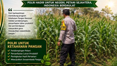 BHABINKAMTIBMAS PANTAU PERTUMBUHAN TANAMAN JAGUNG DI DESA BINAAN