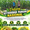 Polri Dukung Astacita, Polsek Rengel Polresta Tuban Turun Cek Tanaman Jagung Warga di Desa Rengel