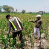 Polri Dukung Astacita, Polsek jenu Polres Tuban Turun Cek Tanaman Jagung Warga di Desa suwalan