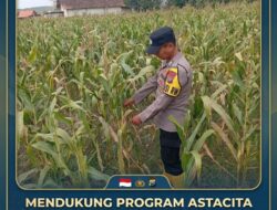 Mendukung Program Astacita Presiden Prabowo, Polisi Polsek Kenduruan Polresta Tuban Turun Langsung Kawal Ketahanan Pangan Nasional .