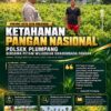 Polsek Plumpang Polresta Tuban Turun Langsung Cek Tanaman Jagung Warga