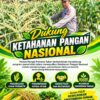 Polri Dukung Astacita, Polsek Rengel Polresta Tuban Turun Cek Tanaman Jagung Warga di Desa Rengel
