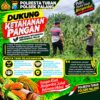 Dukung Astacita, Polsek Palang Polresta Tuban Pantau Langsung Lahan Jagung milik warga Desa Tegalbang