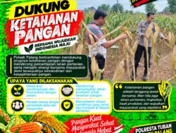 Dukung Astacita, Polsek Palang Polresta Tuban Pantau Langsung Lahan Jagung milik warga Desa Tegalbang