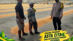 “POLSEK KEREK POLRESTA TUBAN SAMBANG KE GUDANG PENGERINGAN DAN PENYIMPANAN JAGUNG”