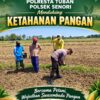 Dukung Program Ketahanan Pangan Anggota Bhabinkamtimas Polsek Senori Polres Tuban Polda Jatim Menanam Jagung Bersama Warga Desa Leran