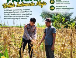 Polri Dukung Astacita, Polsek Merakurak Polresta Tuban Turun Cek Tanaman Jagung Warga di Desa Tuwiri Wetan