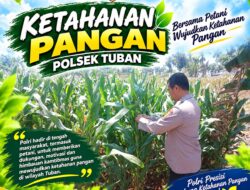POLSEK TUBAN DUKUNG KETAHANAN PANGAN, LAKUKAN PEMANTAUAN TANAMAN JAGUNG