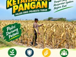Polsek Soko Polresta Tuban Turun Langsung Cek Tanaman Jagung Warga