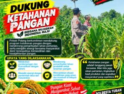 Dukung Astacita, Polsek Palang Polresta Tuban Pantau Langsung Lahan Jagung milik warga Desa Dawung